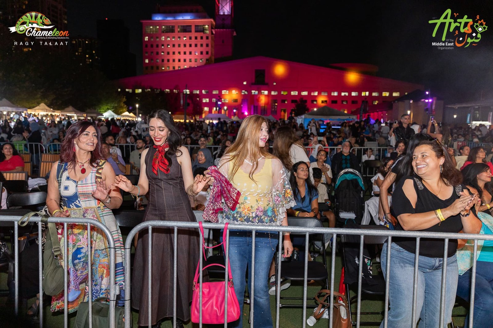 Festival-goers dancing in front of the stage at AMEF 2